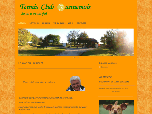 tennisclubdannemois.free.fr