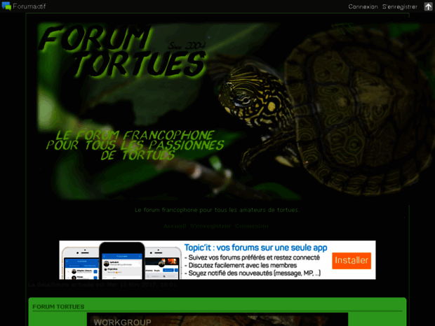 tortueforum.com