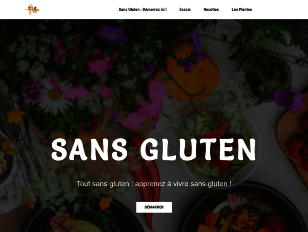 tout-sans-gluten.com