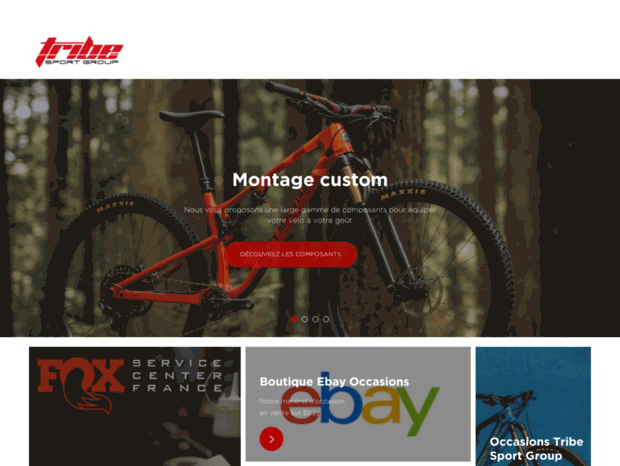 tribesportgroup.com