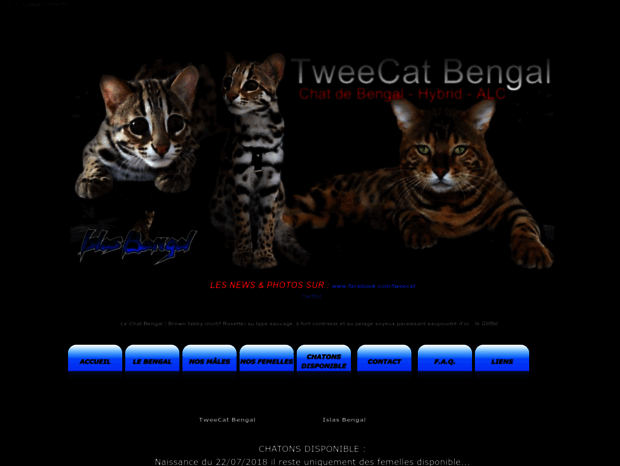 tweecat.com