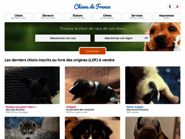 ultimate-signature.chiens-de-france.com