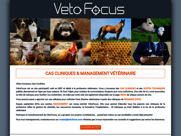vetofocus.com