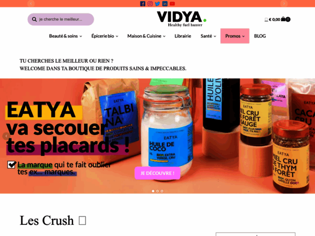 vidya-ayurveda.org