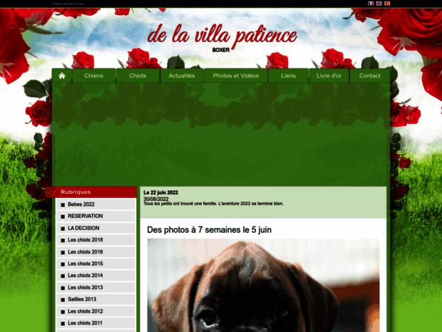villa-patience.chiens-de-france.com