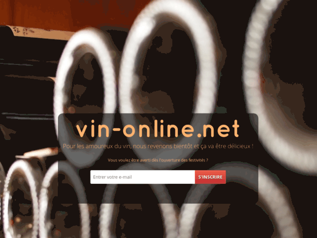 vin-online.net
