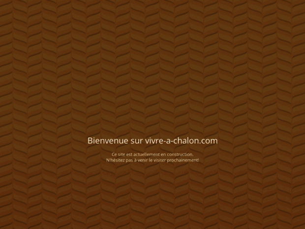 vivre-a-chalon.com