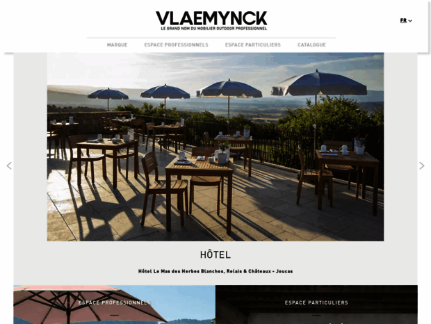 vlaemynck.com