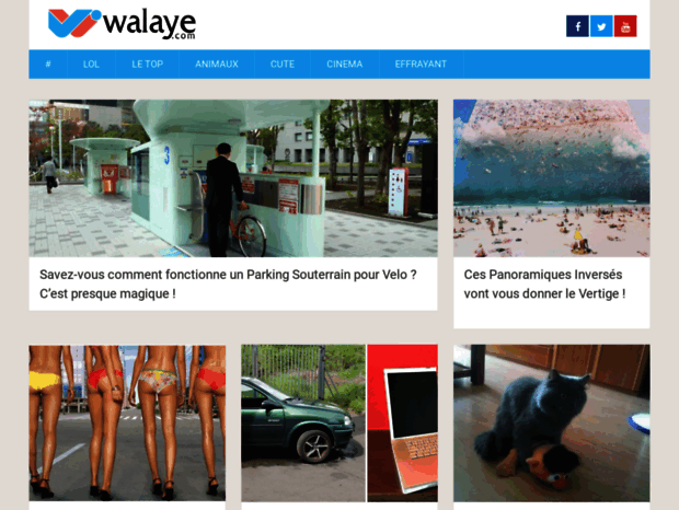 walaye.com