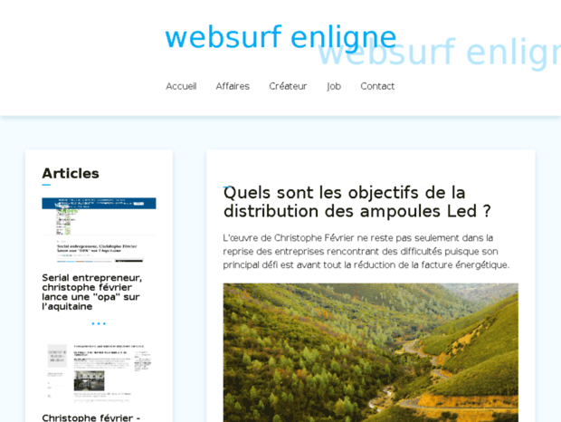 websurf-enligne.com