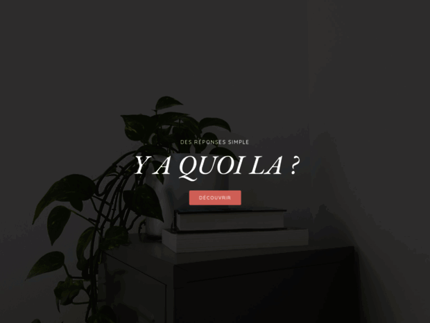 yaquoila.com