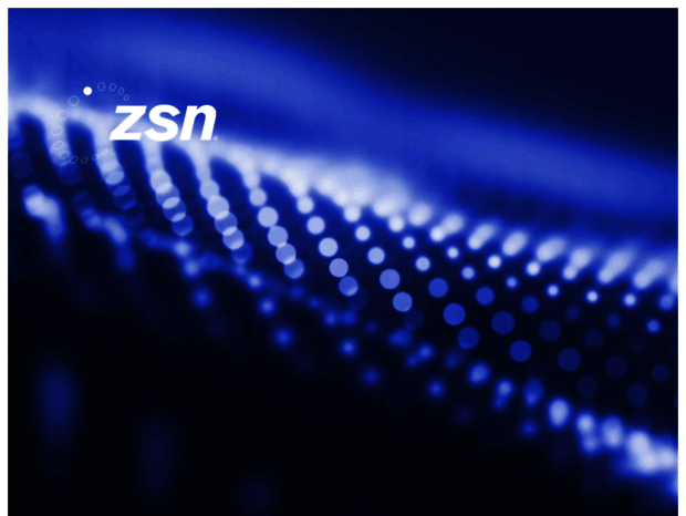 zsn.com